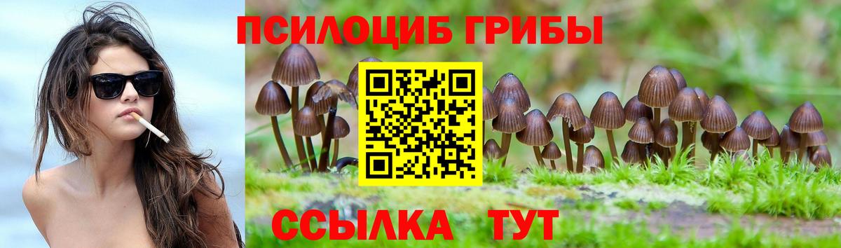 Галлюциногенные грибы MAGIC MUSHROOMS  Вход с VPN  Ипатово 